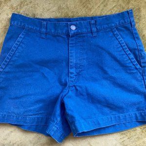 Patagonia Men's Size 32 Stand Up Shorts 5" Inseam - Blue